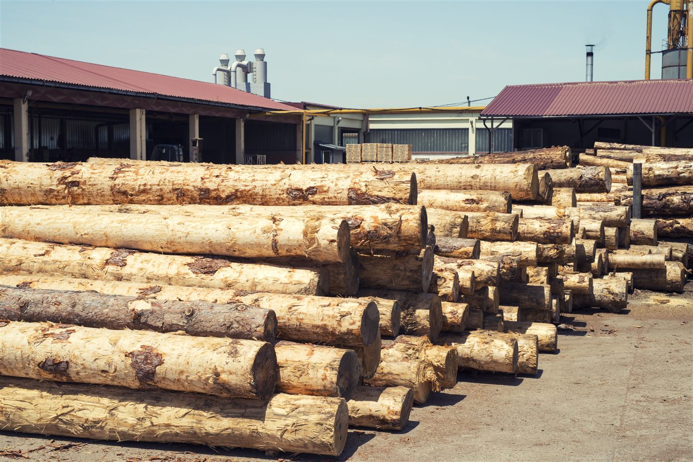 Pengolahan Kayu