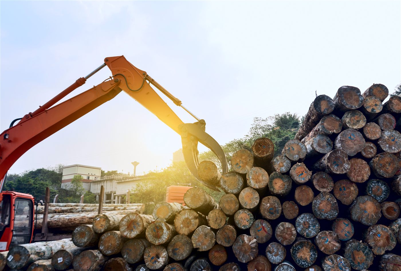 Industri Pengolahan Kayu